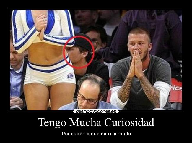 carteles curiosidadjustinbieberjajajaxdchuck desmotivaciones