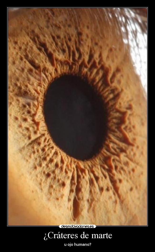 ¿Cráteres de marte - u ojo humano?