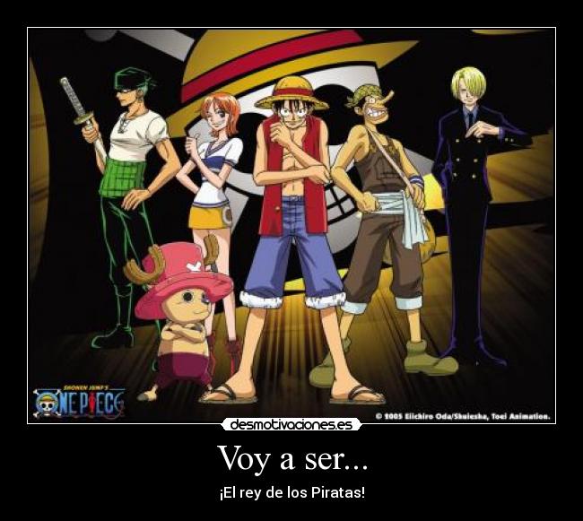 carteles rey los piratas desmotivaciones