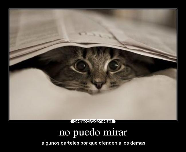 no puedo mirar - algunos carteles por que ofenden a los demas