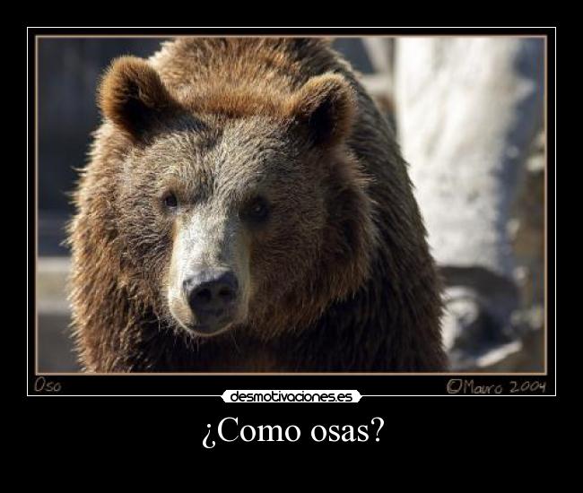 ¿Como osas? -