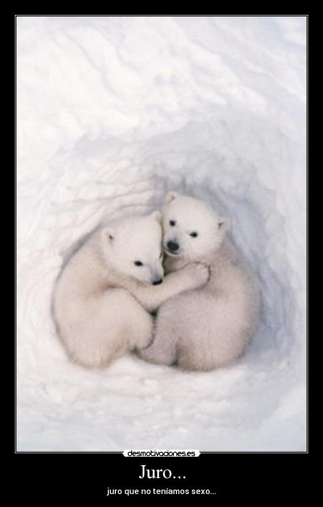 Juro... - juro que no teníamos sexo...