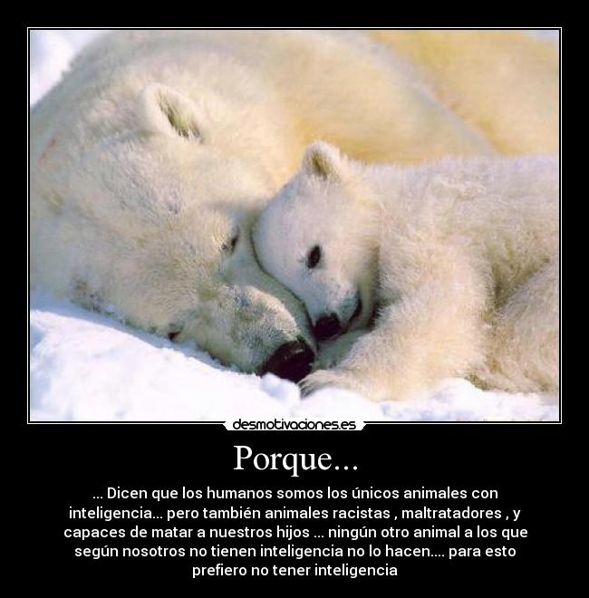Porque... -