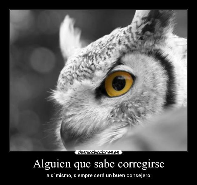 carteles consejero desmotivaciones