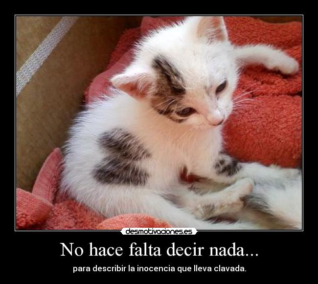 No hace falta decir nada... - para describir la inocencia que lleva clavada.