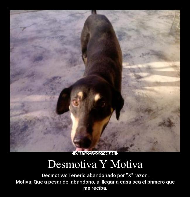 Desmotiva Y Motiva - Desmotiva: Tenerlo abandonado por X razon.
Motiva: Que a pesar del abandono, al llegar a casa sea el primero que me reciba.