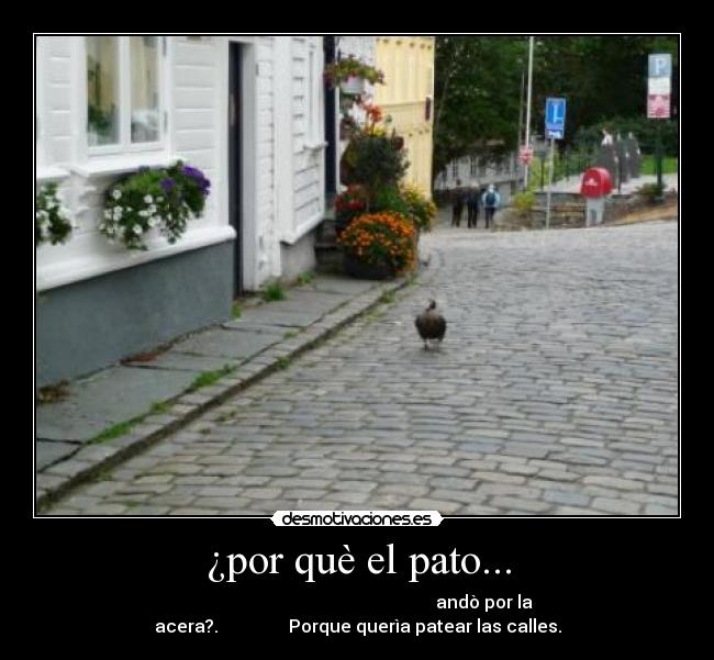 ¿por què el pato... -