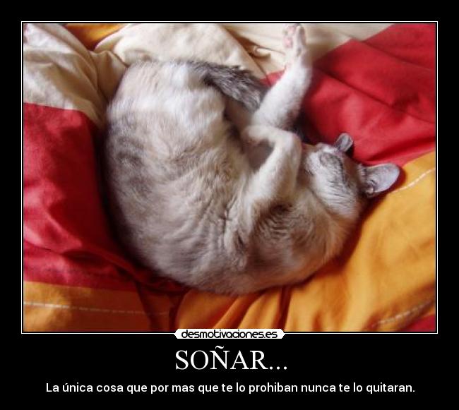 SOÑAR... -
