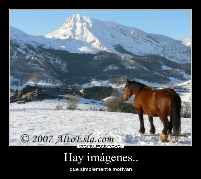 Hay imágenes.. - 