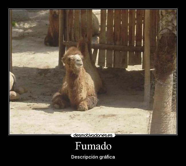 Fumado - Descripción gráfica