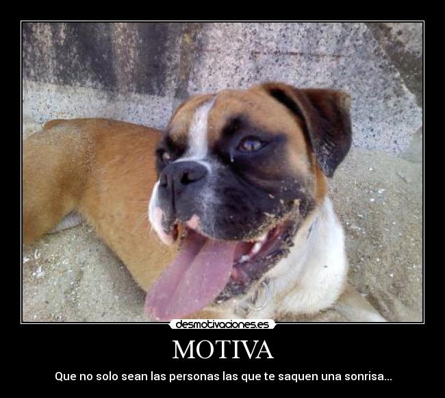 MOTIVA -
