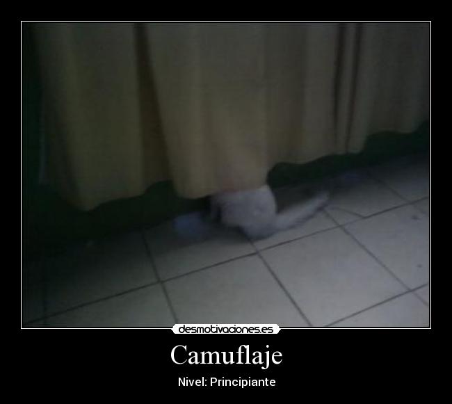 Camuflaje - 