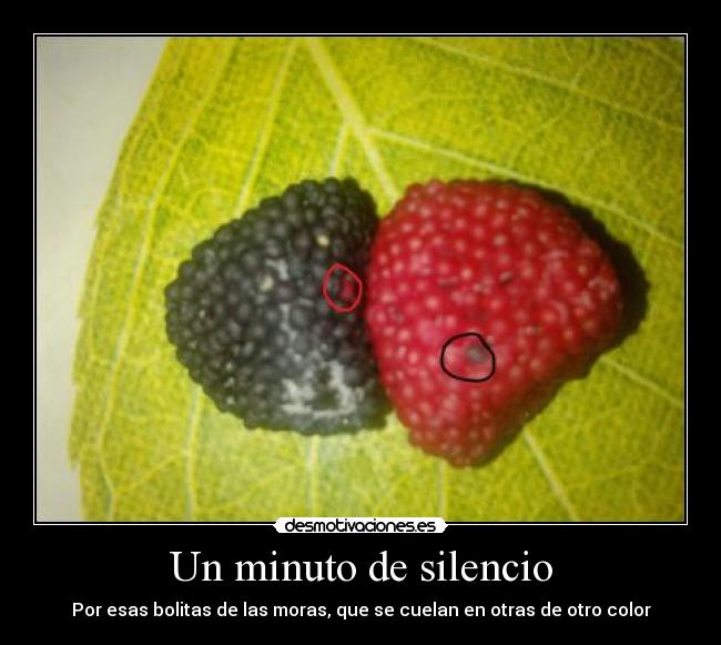 Un minuto de silencio - Por esas bolitas de las moras, que se cuelan en otras de otro color