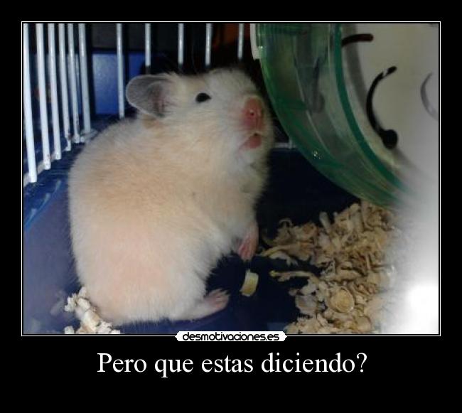 Pero que estas diciendo? -