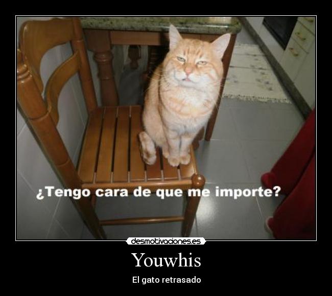 Youwhis - El gato retrasado
