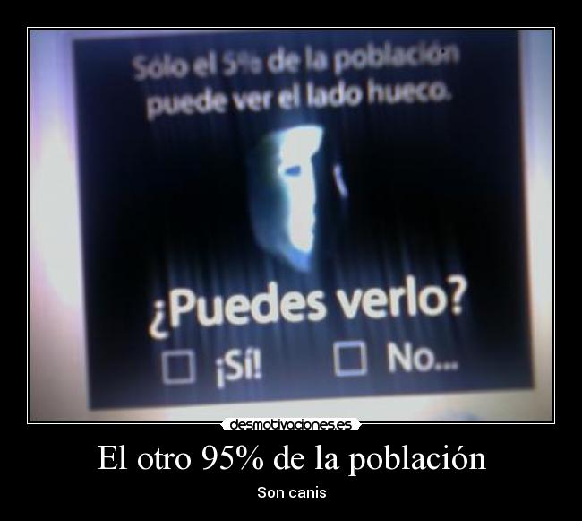 El otro 95% de la población - Son canis