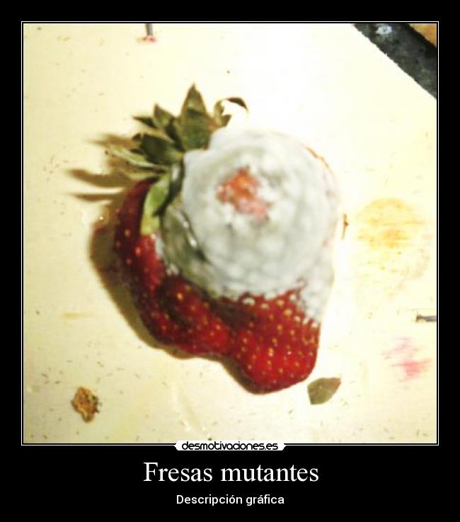 Fresas mutantes - Descripción gráfica