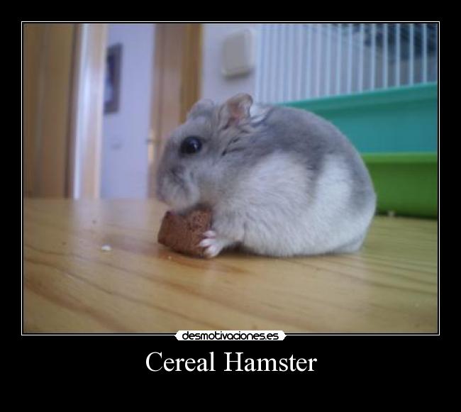 Cereal Hamster - 