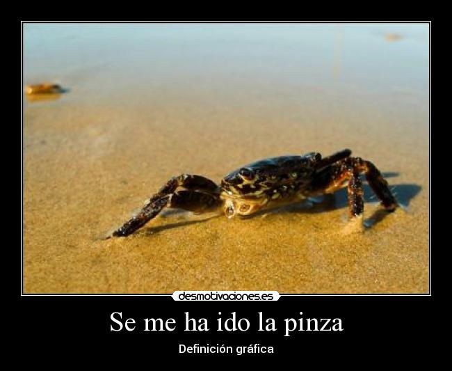 Se me ha ido la pinza -