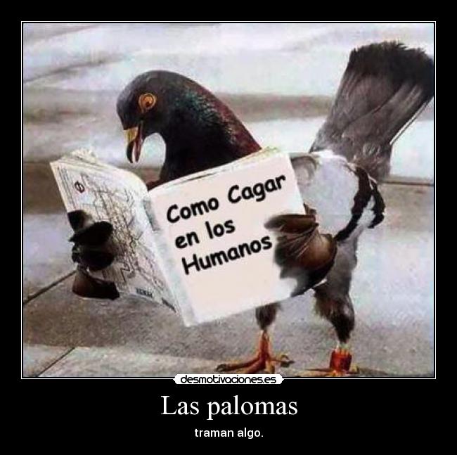 Las palomas -