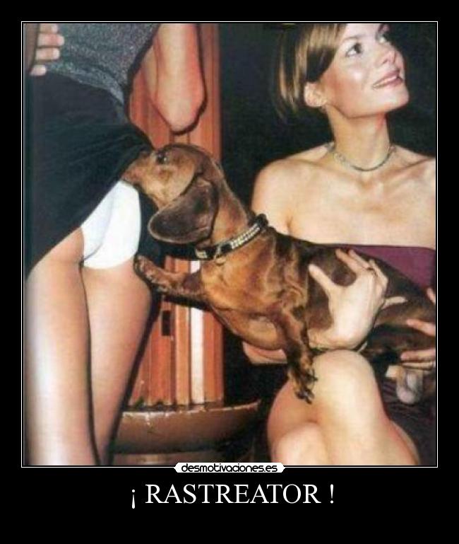 ¡ RASTREATOR ! - 
