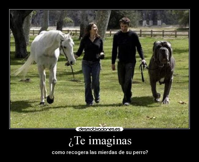 ¿Te imaginas -
