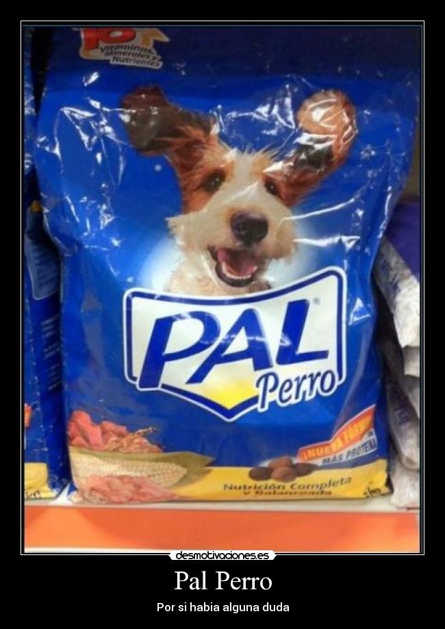 Pal Perro - 