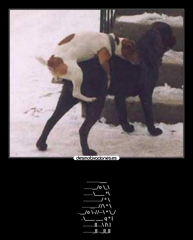 carteles xddddddddddddddd nose desmotivaciones