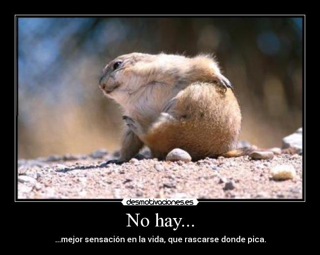 carteles hay desmotivaciones