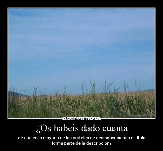 ¿Os habeis dado cuenta - 
