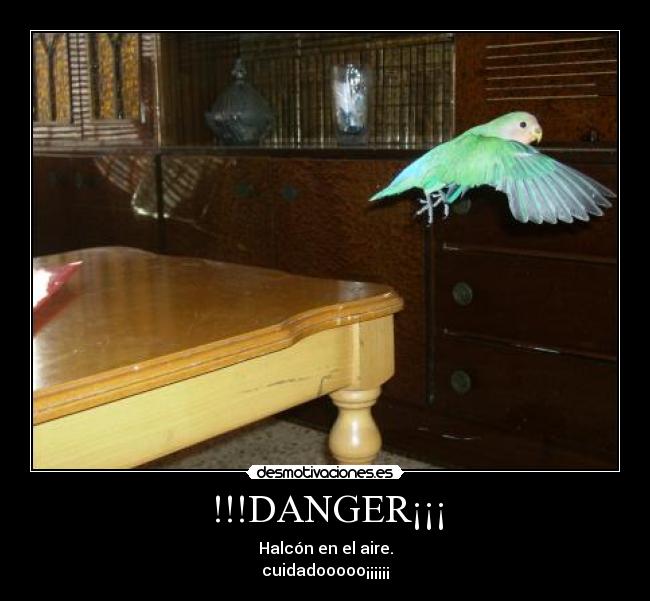 !!!DANGER¡¡¡ - 