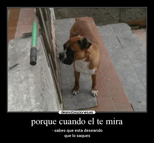 porque cuando el te mira - 