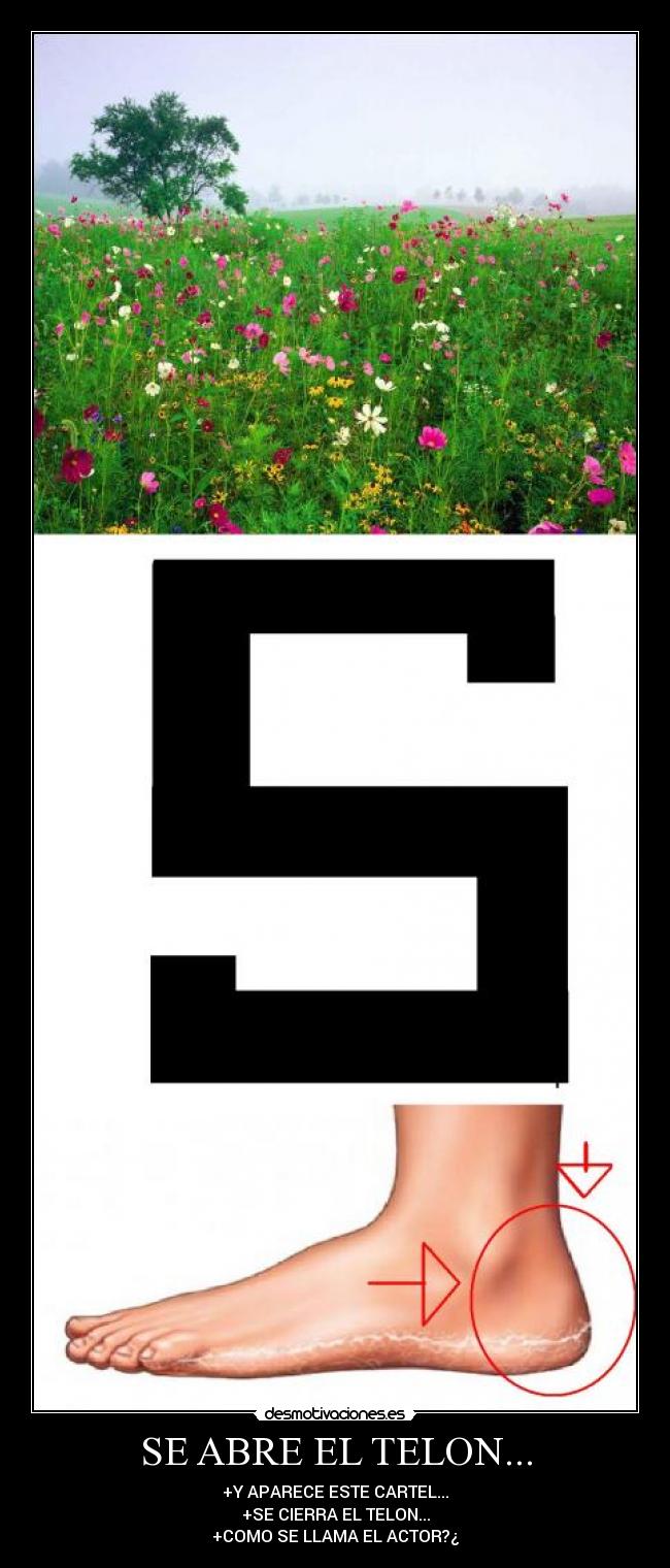 SE ABRE EL TELON... -