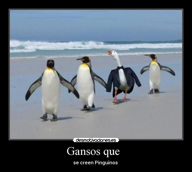 carteles juliogomezb desmotivaciones