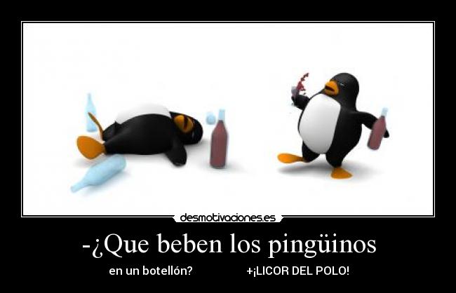 -¿Que beben los pingüinos -