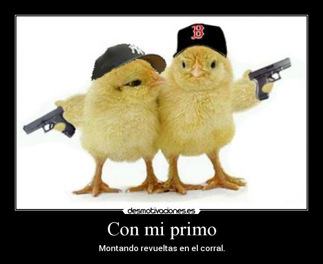 Con mi primo - Montando revueltas en el corral.