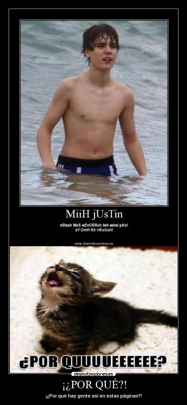 carteles por que gatosjustin bieber canis desmotivaciones