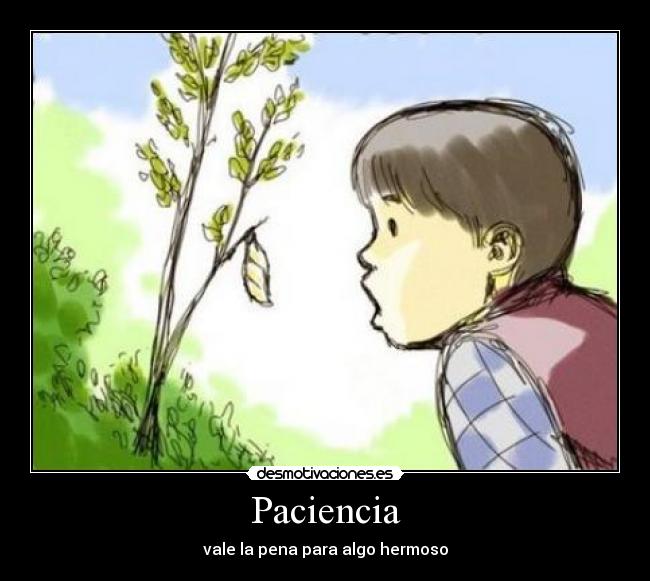 Paciencia - 