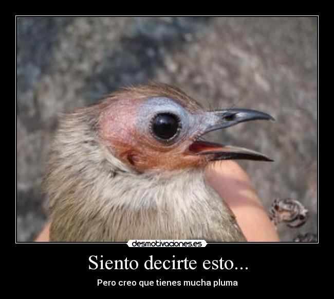 Siento decirte esto... - Pero creo que tienes mucha pluma