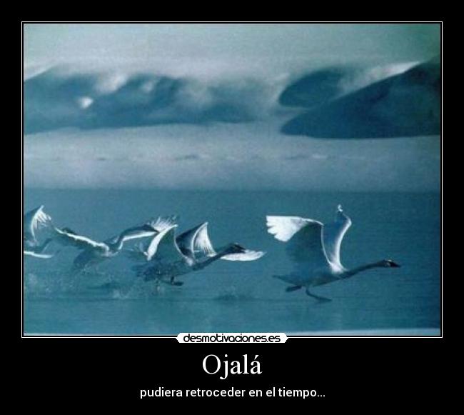 Ojalá -