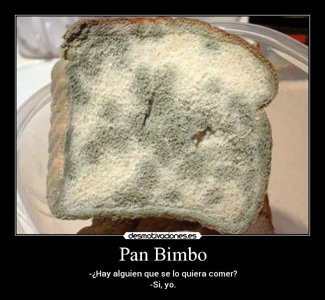 Pan Bimbo - -¿Hay alguien que se lo quiera comer?
-Si, yo.