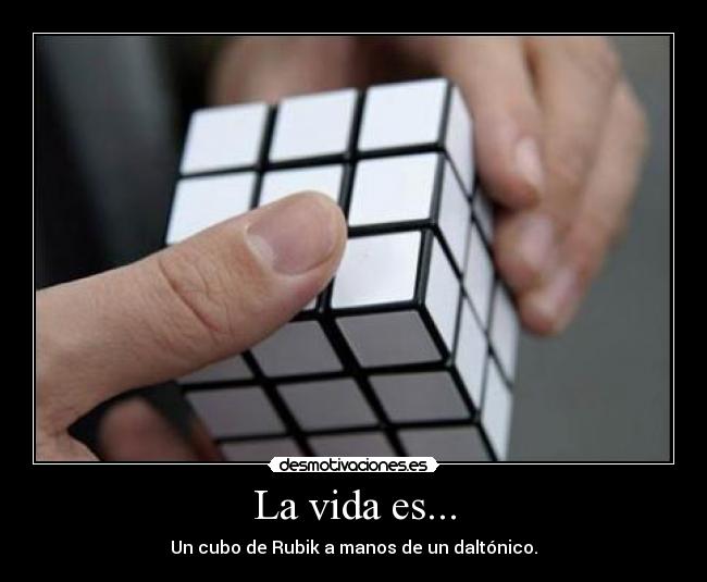La vida es... -