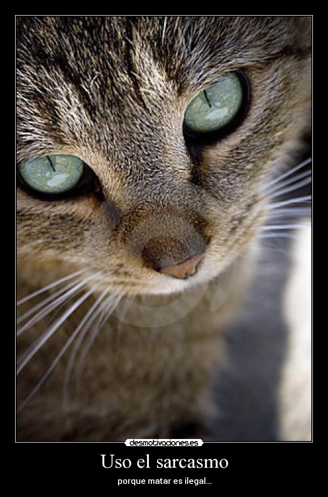 Uso el sarcasmo - porque matar es ilegal...