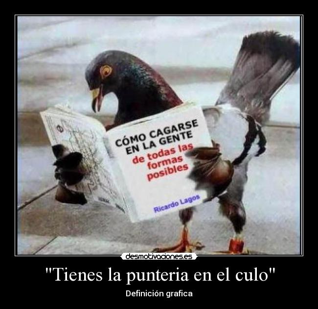 Tienes la punteria en el culo - Definición grafica