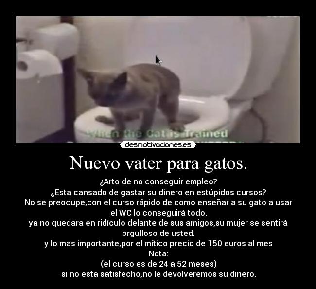 Nuevo vater para gatos. -