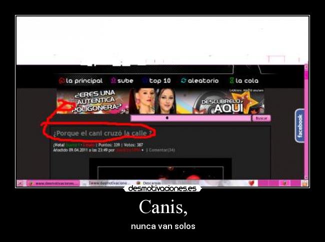 Canis, - nunca van solos