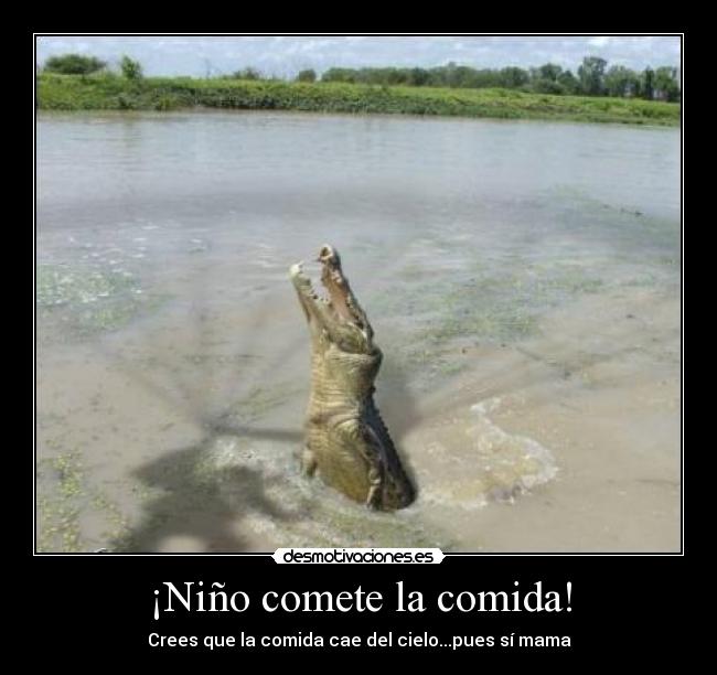 ¡Niño comete la comida! - Crees que la comida cae del cielo...pues sí mama