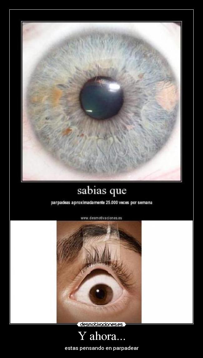 carteles parpadear ojos desmotivaciones