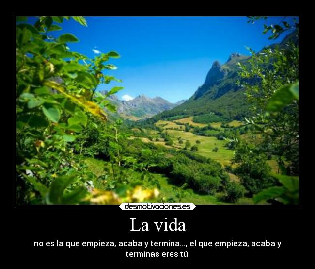 La vida -