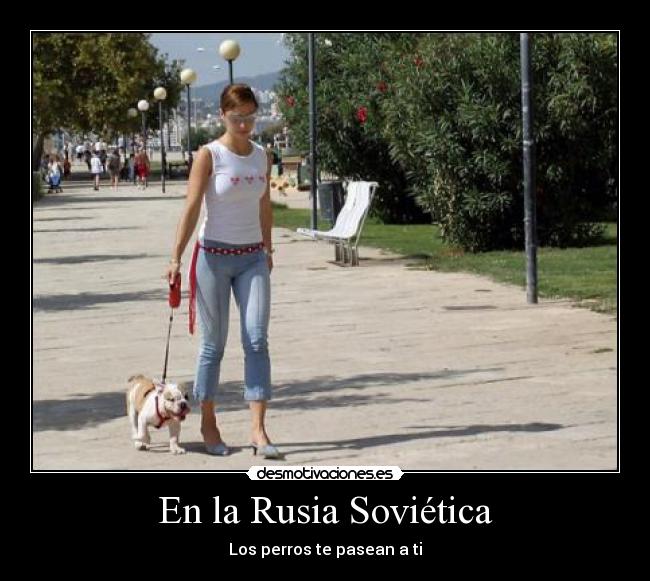 En la Rusia Soviética - Los perros te pasean a ti